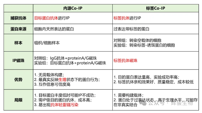 輝駿生物內(nèi)源Co-IP與標(biāo)簽Co-IP對比.png
