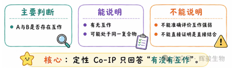 定性Co-IP的應(yīng)用-輝駿生物.png